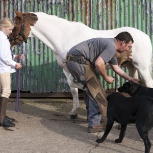 dogs & horses bed & breakfast brills farm