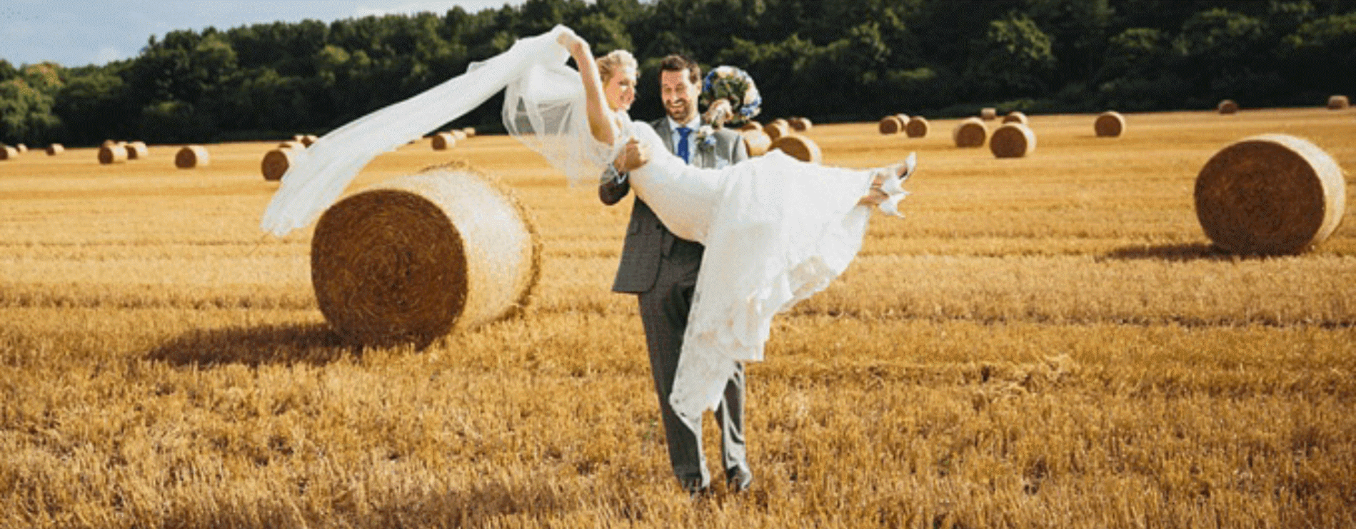 wedding reception brills farm